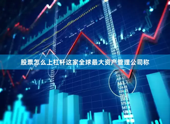 股票怎么上杠杆　　这家全球最大资产管理公司称