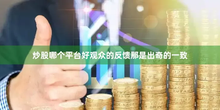 炒股哪个平台好观众的反馈那是出奇的一致